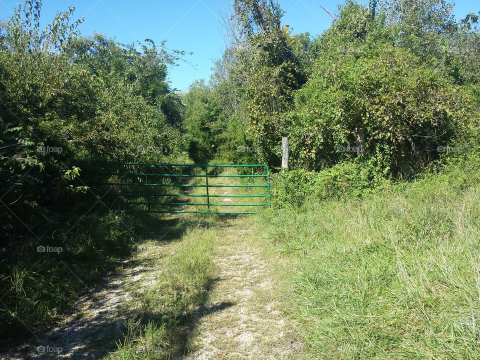 Miller Mausoleum driveway
