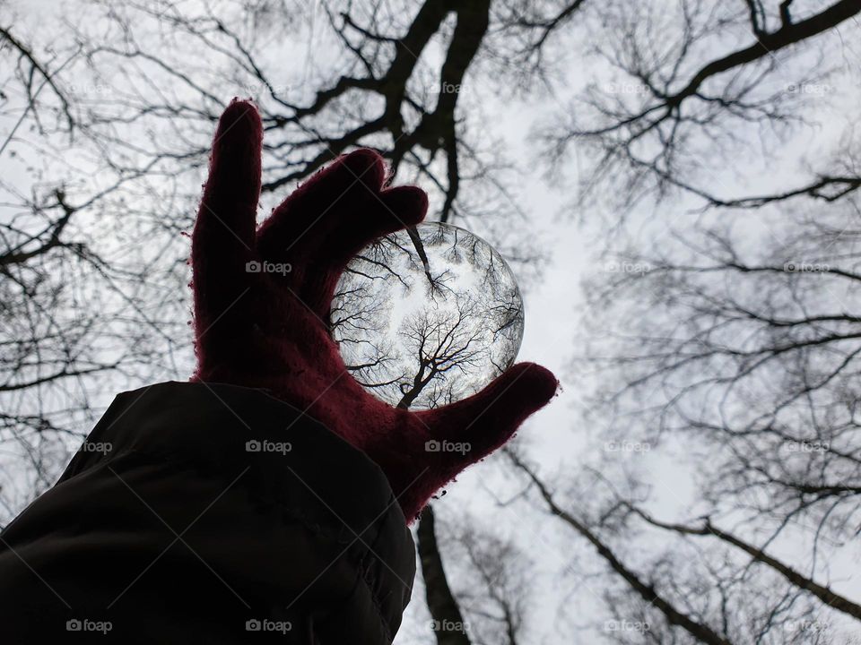 a portrait of a person holding a lens ball up in a forest between the trees, the trees are reflected in the glass ball.