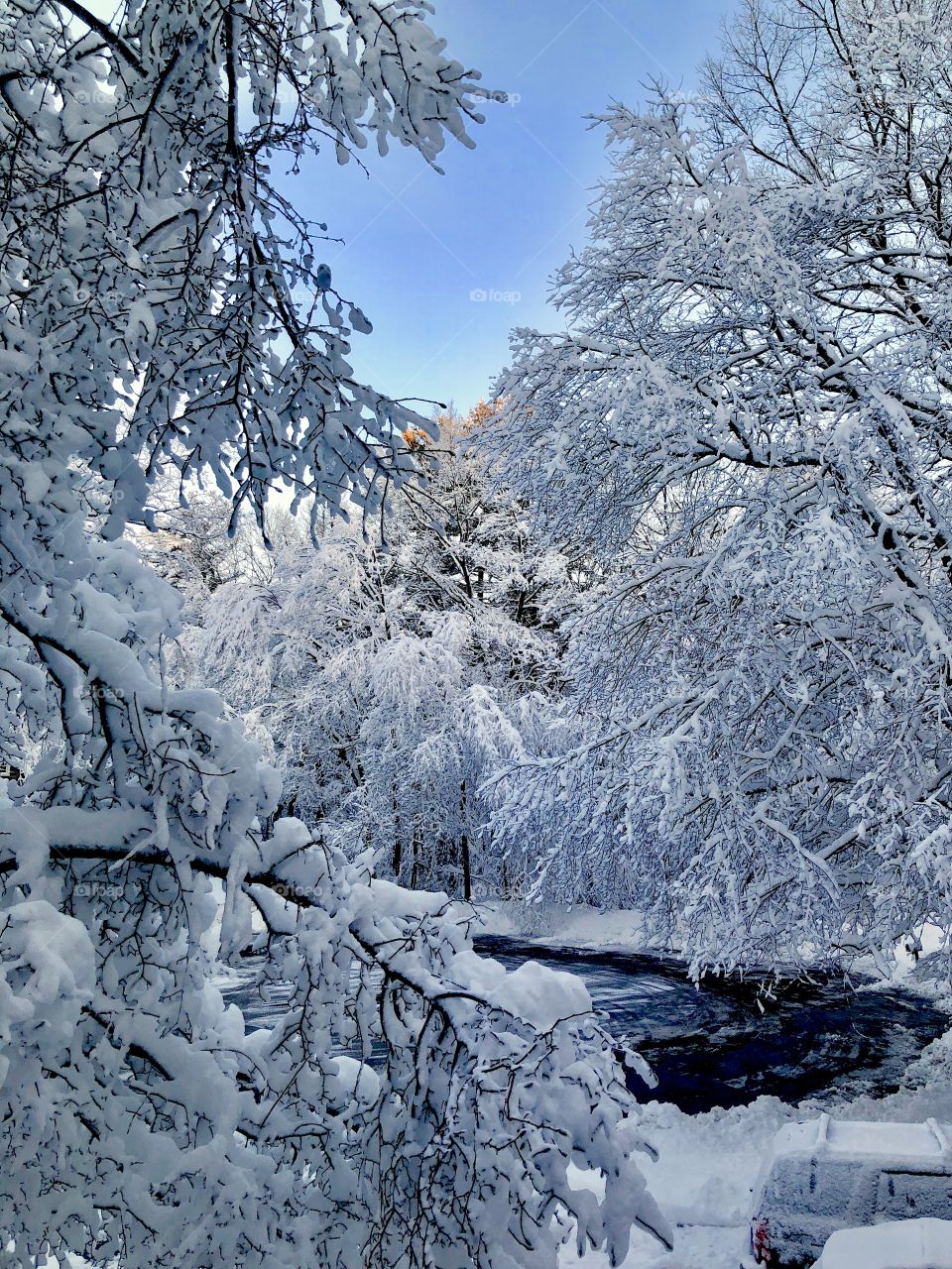 Snowcovered trees and branches surround the cul-de-sac in a residential neighborhood, in the wake of a Noreaster that hit Massachusetts hard in early Spring 2018. (March 2018) 