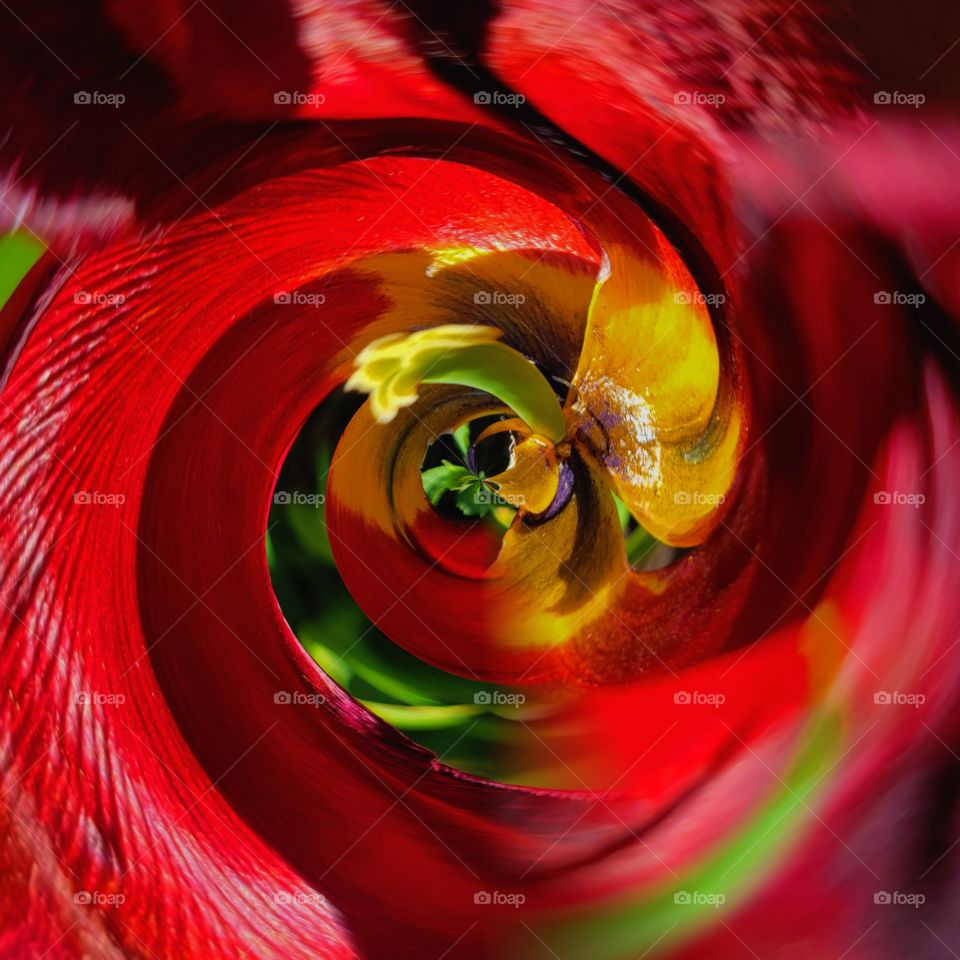 abstract flower art- Tiny Tulip planet