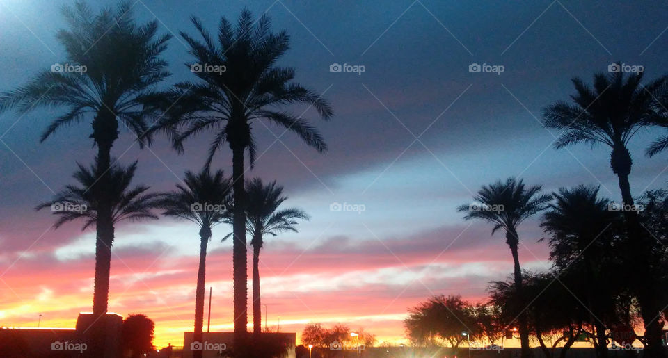 sunset in Scottsdale, AZ