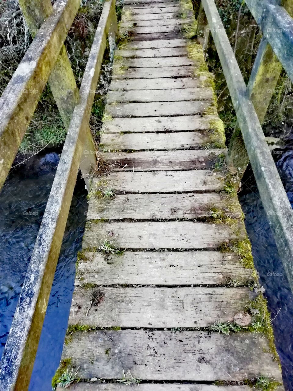 Wooden footbridge over water