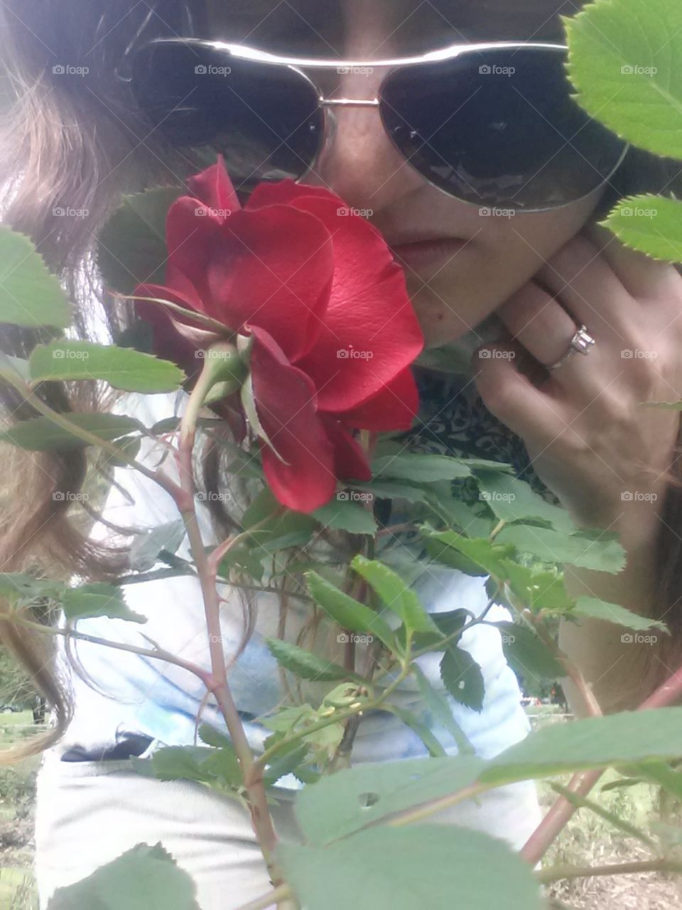 Flower, Nature, Love, Rose, People