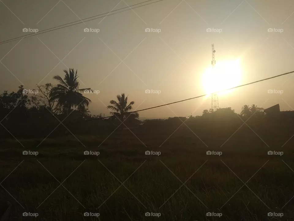 sunset