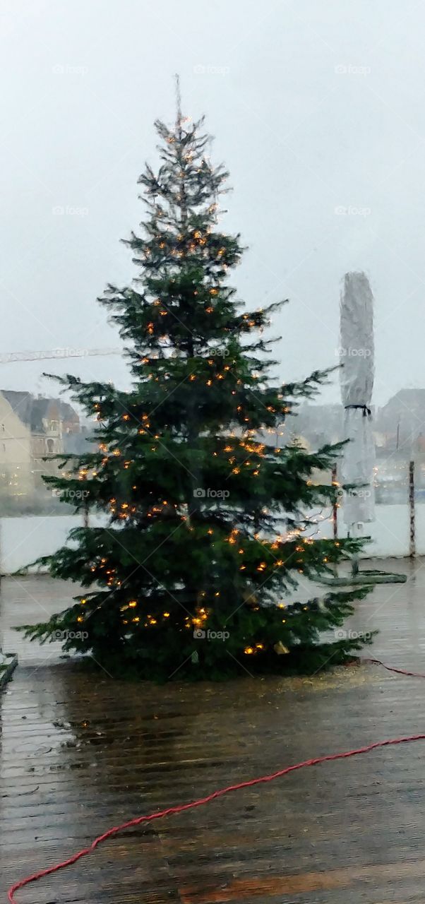 Tannenbaum Christbaum Christmas Weihnachten tree light Licht Hafen