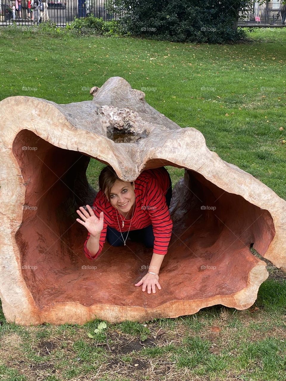 Look at me inside a tree