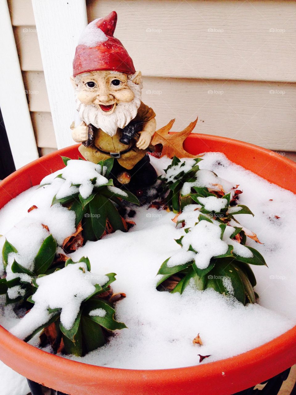 Gnome in the snow