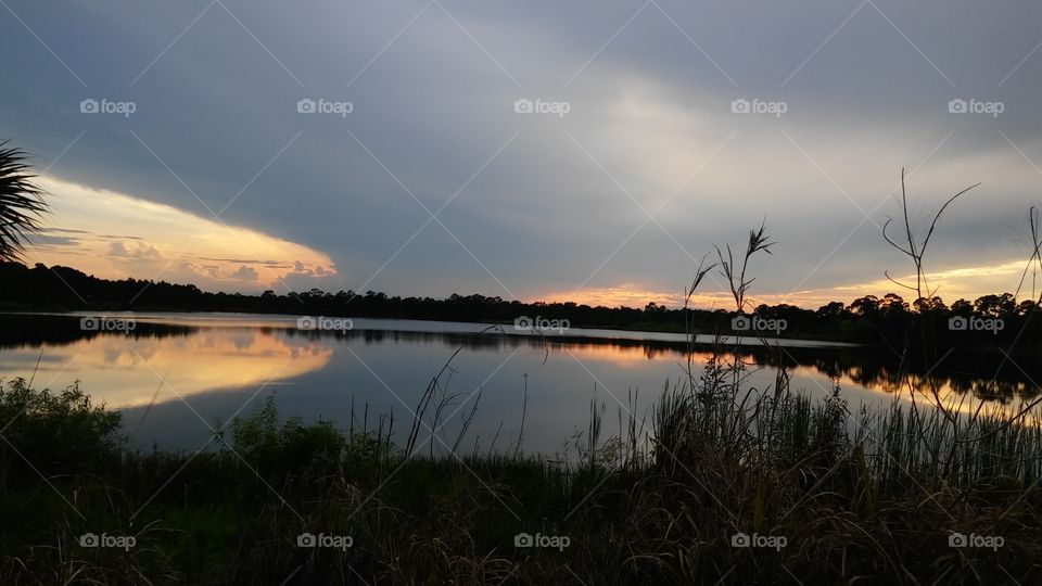 Beautiful reflection on the lake at the George LeStrange Preserve in Fort Pierce, Florida.