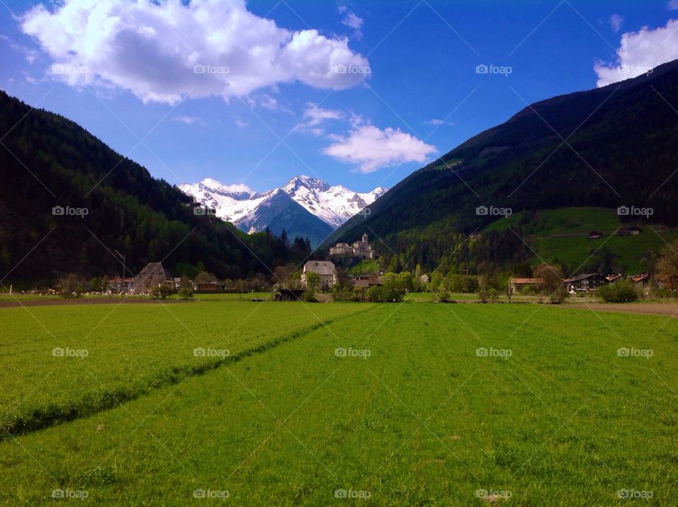 Alpine landscape