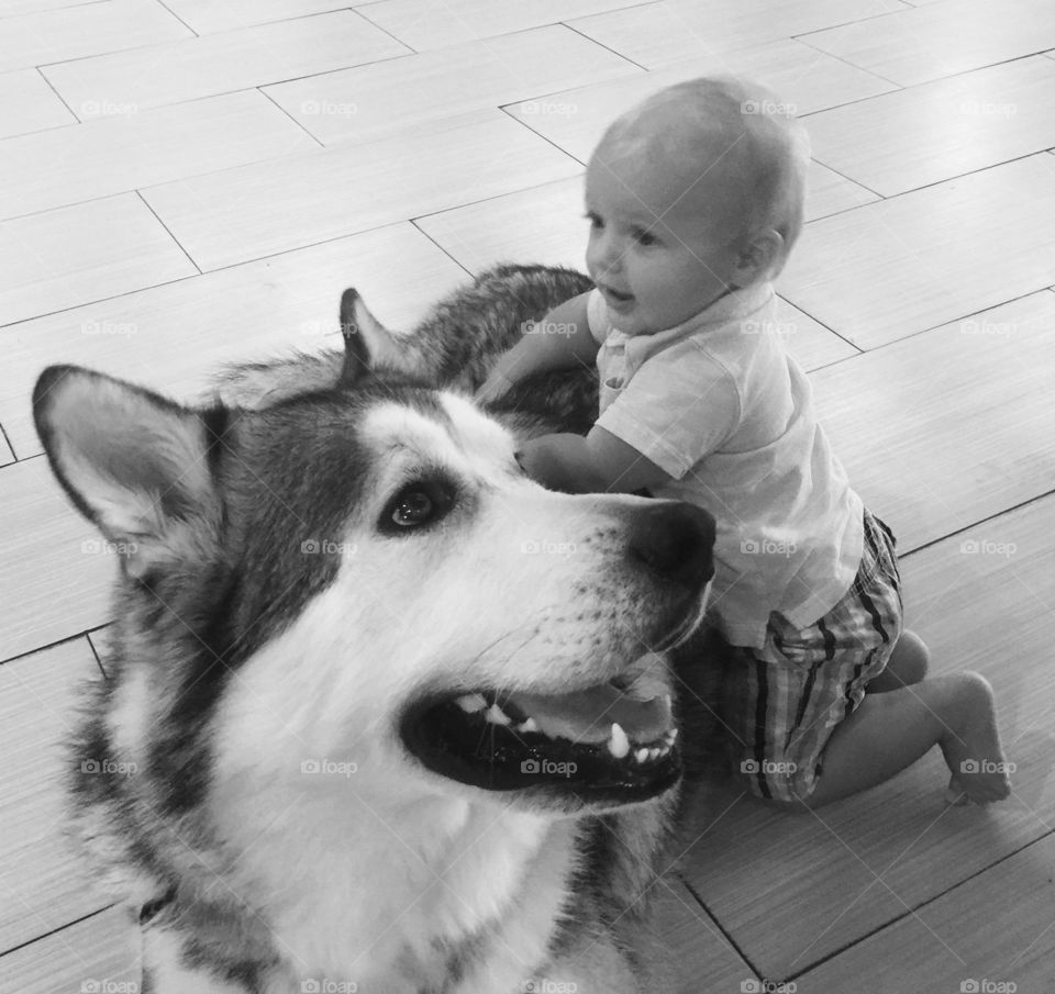Dog & baby