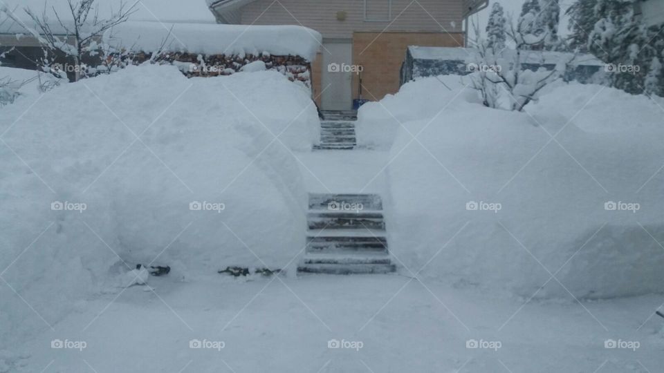 So much snow ...