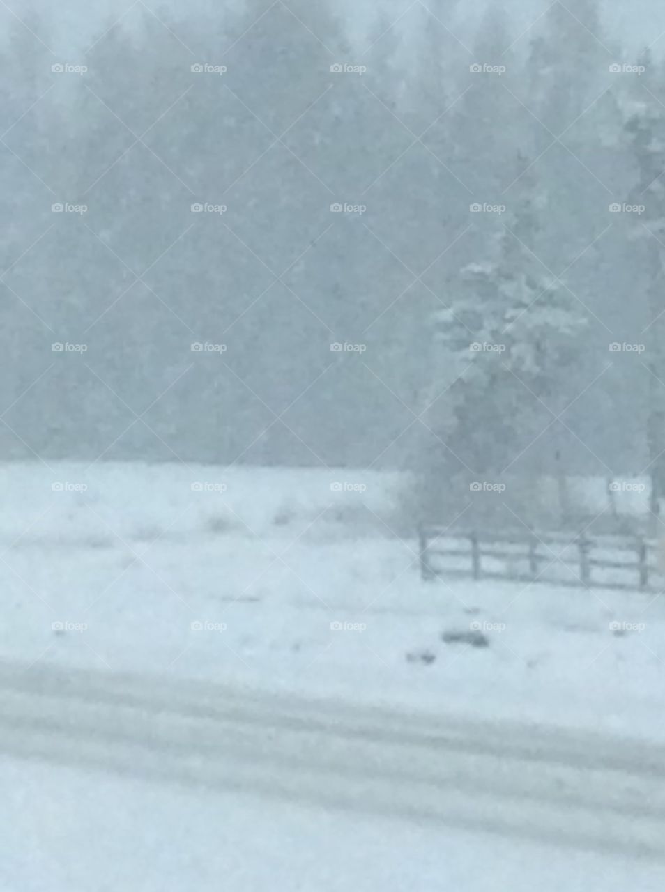 Spring in Northwestern Ontario