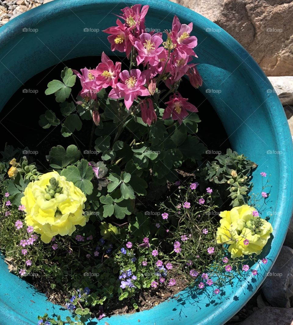 Turquoise pot with flowers