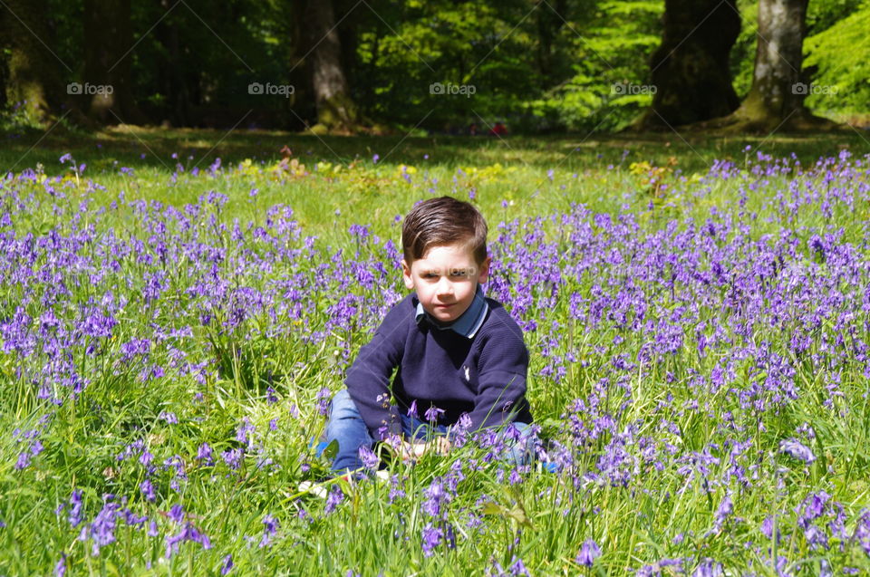 Boy in the bluebells 