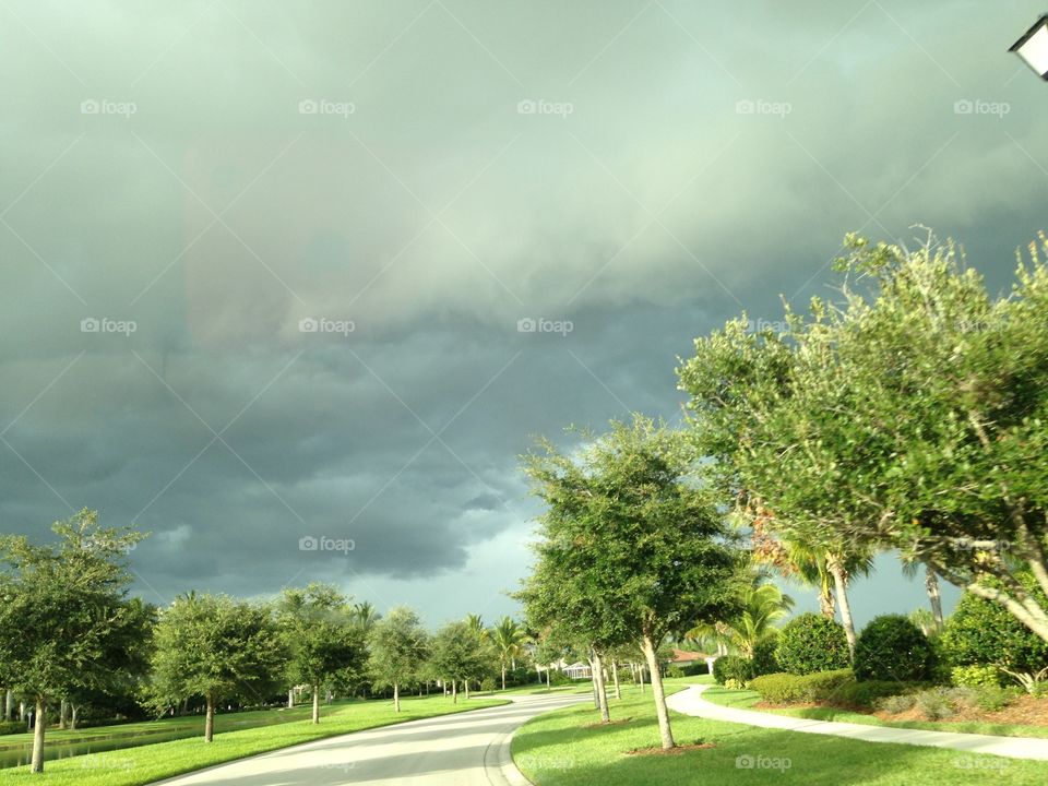 Floridian storms 