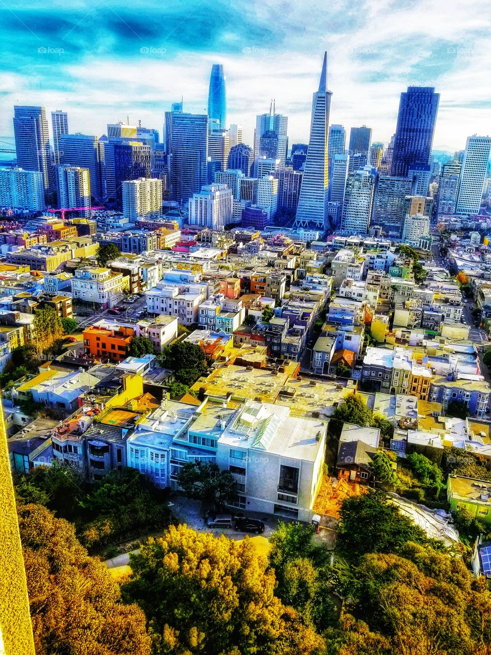 SAN FRANCISCO|california