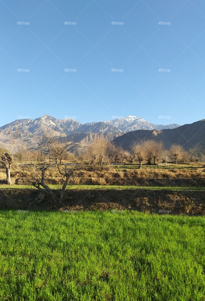 green fields mountain