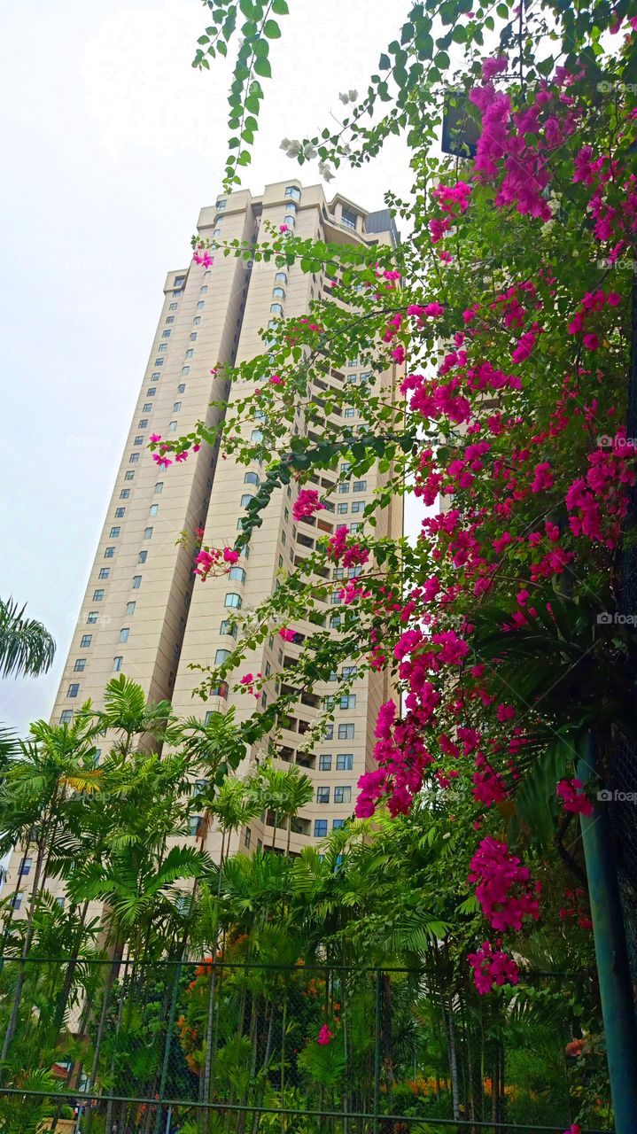 skyscrapper flourished by flowers