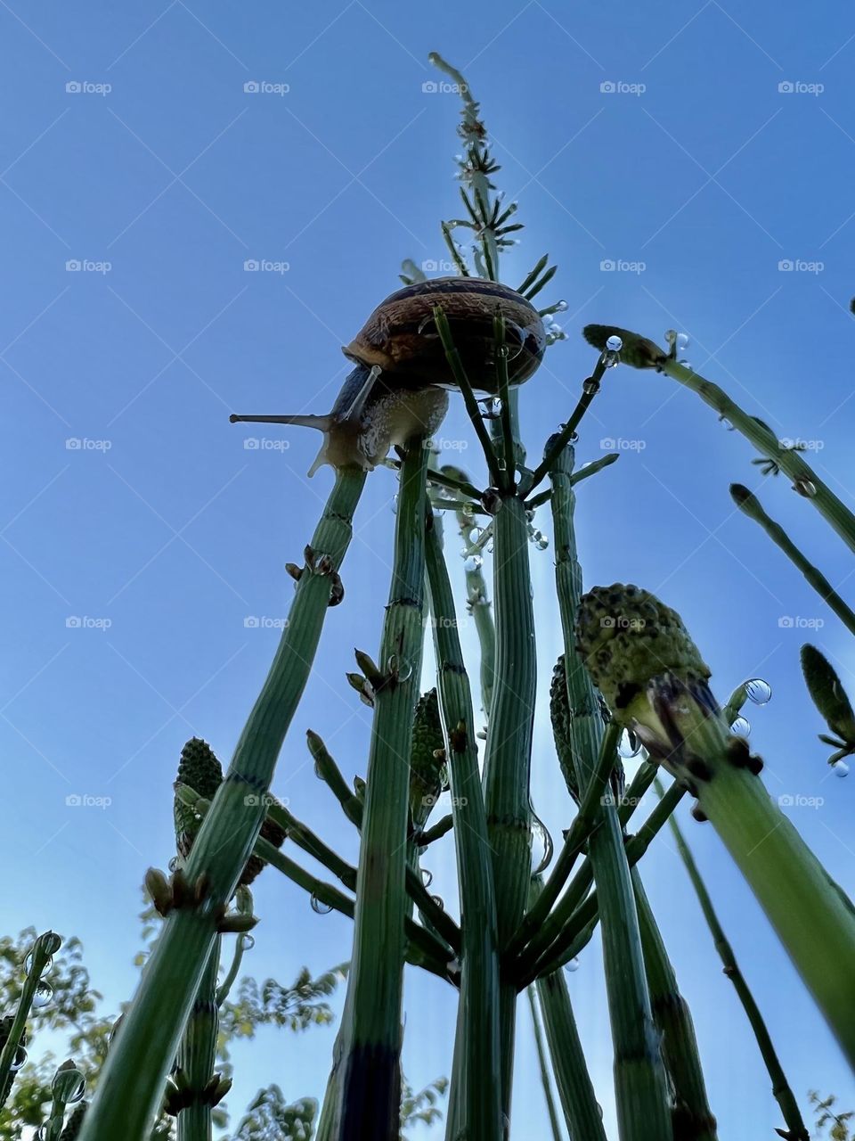 nature seen from the ground