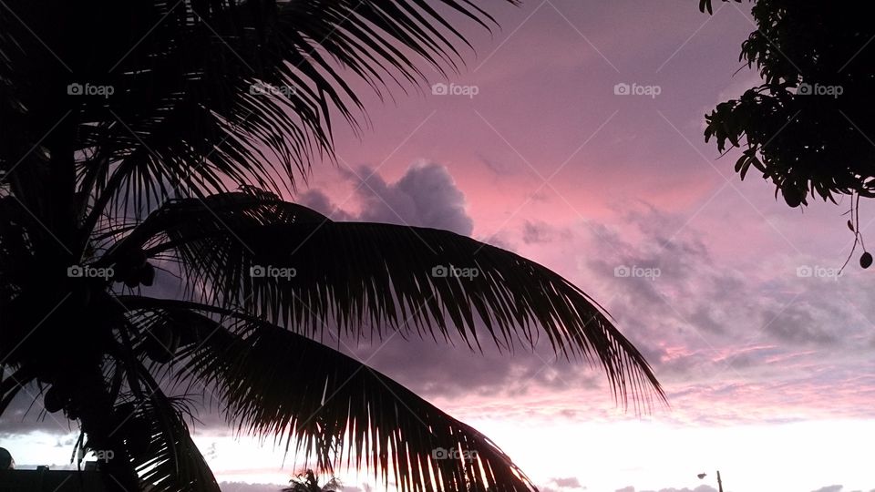 Evening sky Ponce