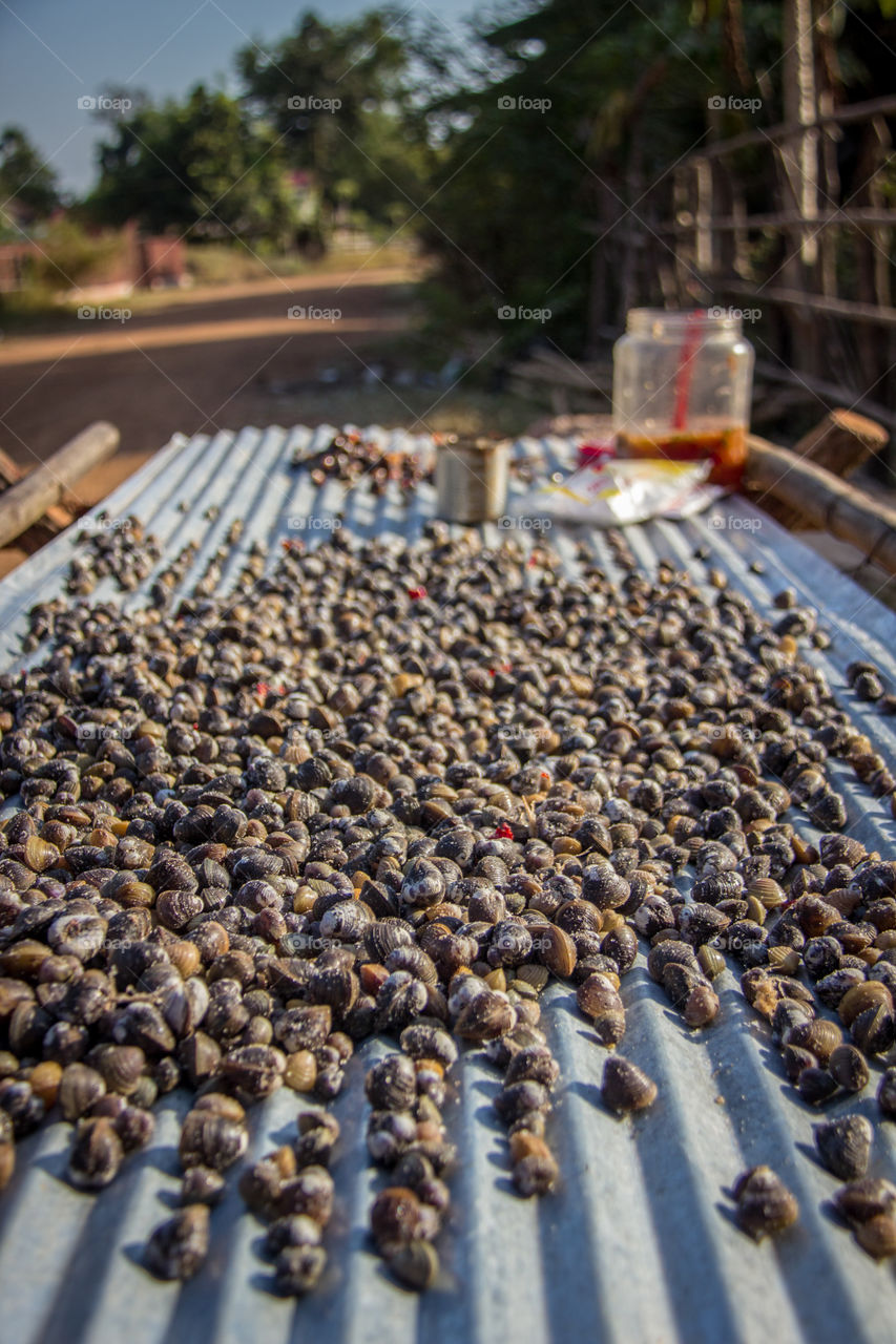 While exploring the Battambang countryside I found these chili snails for sale...everything is eaten