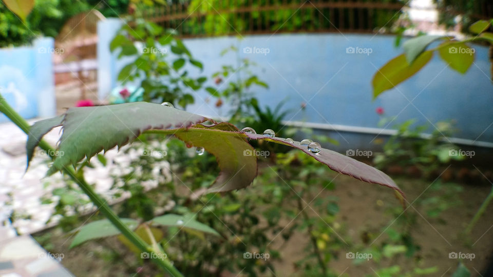 first sign of autumn.