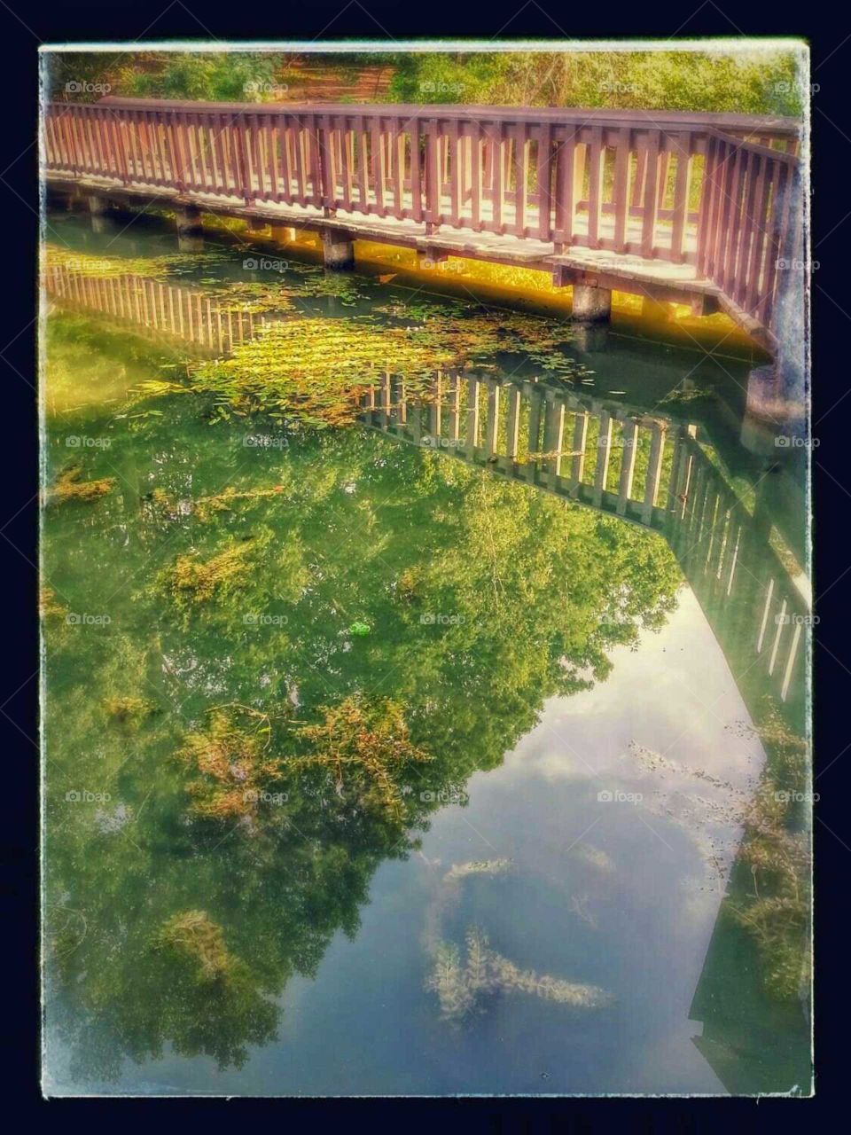 Reflective Pond