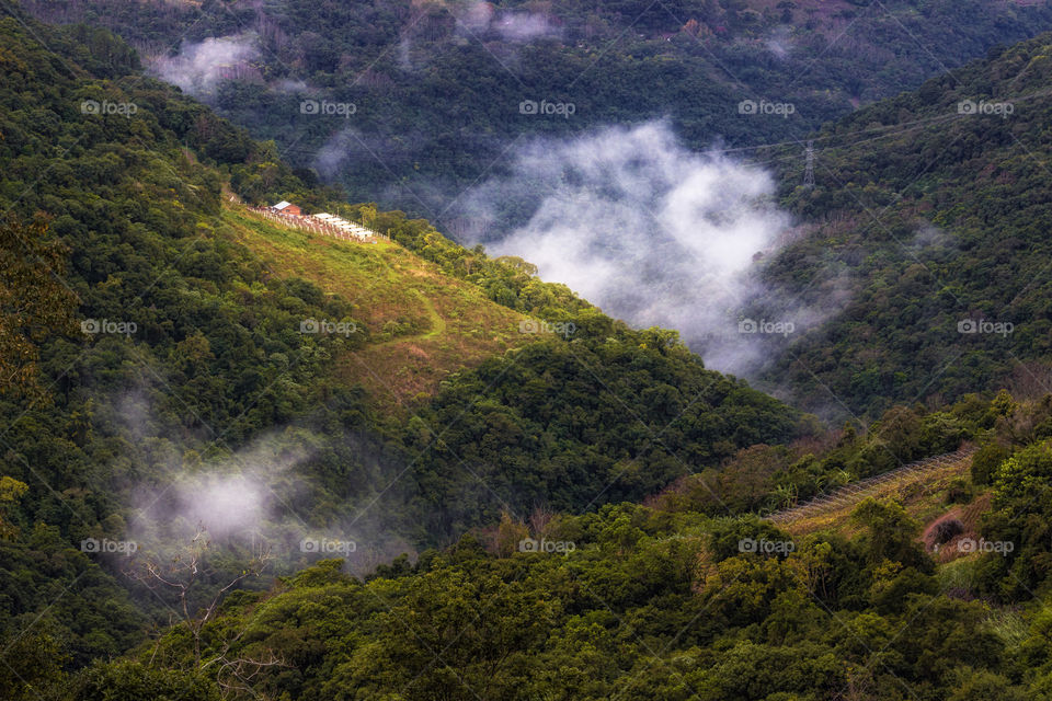 Dawn mountains fog