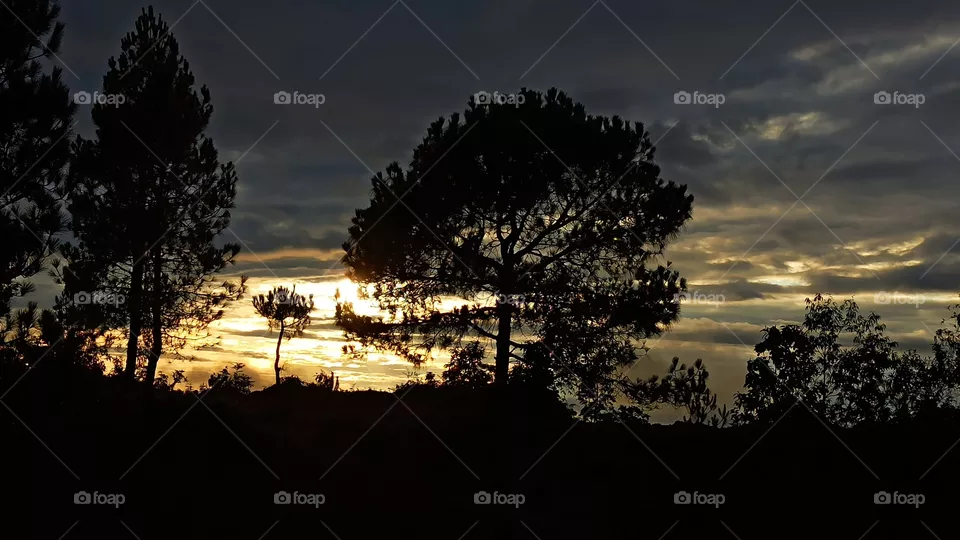 sunset