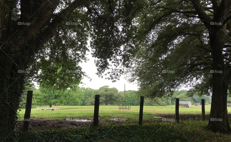 East Texas Ranch