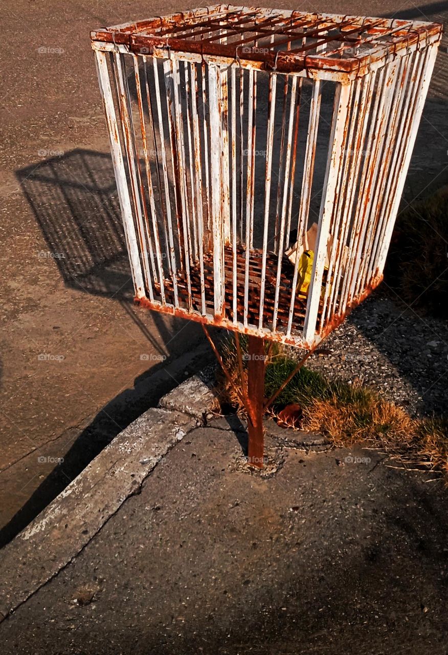 mumps and its shadow 1