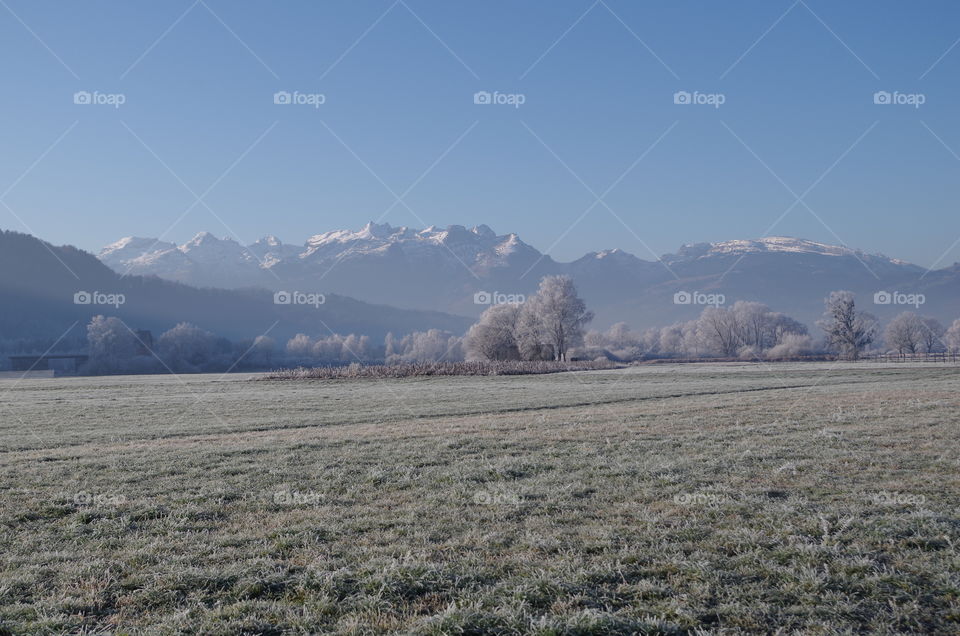 Scenic view of mountain range and frozen trees