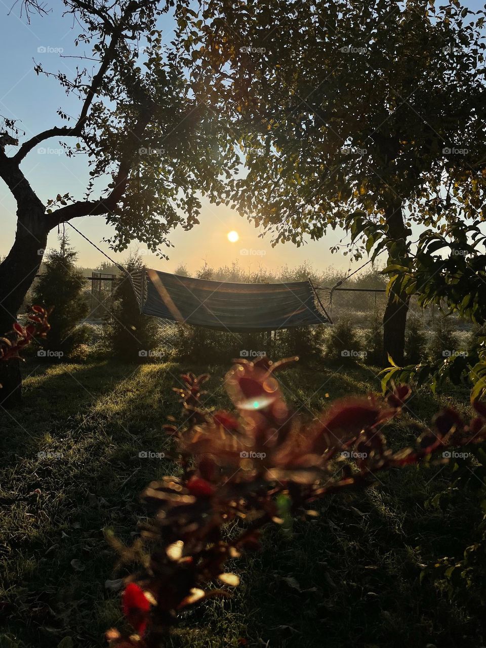 Beautiful sunrise and view on hammock. Chill vibes 