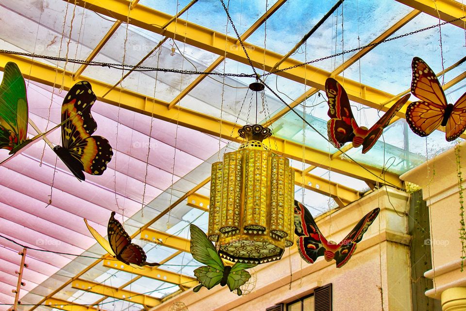 Fun butterfly decor 🦋