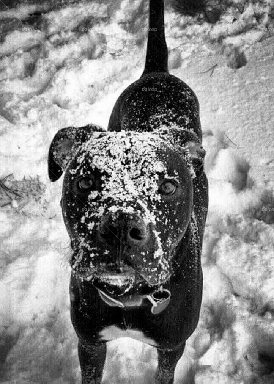 Playing in the snow!