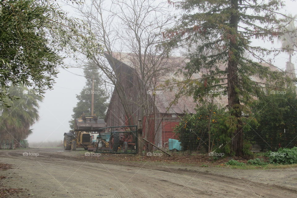 Old barn