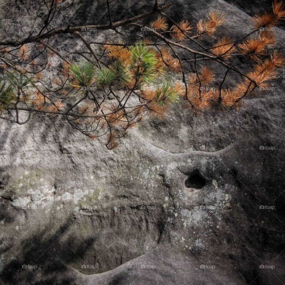 Góry Stołowe Ostas