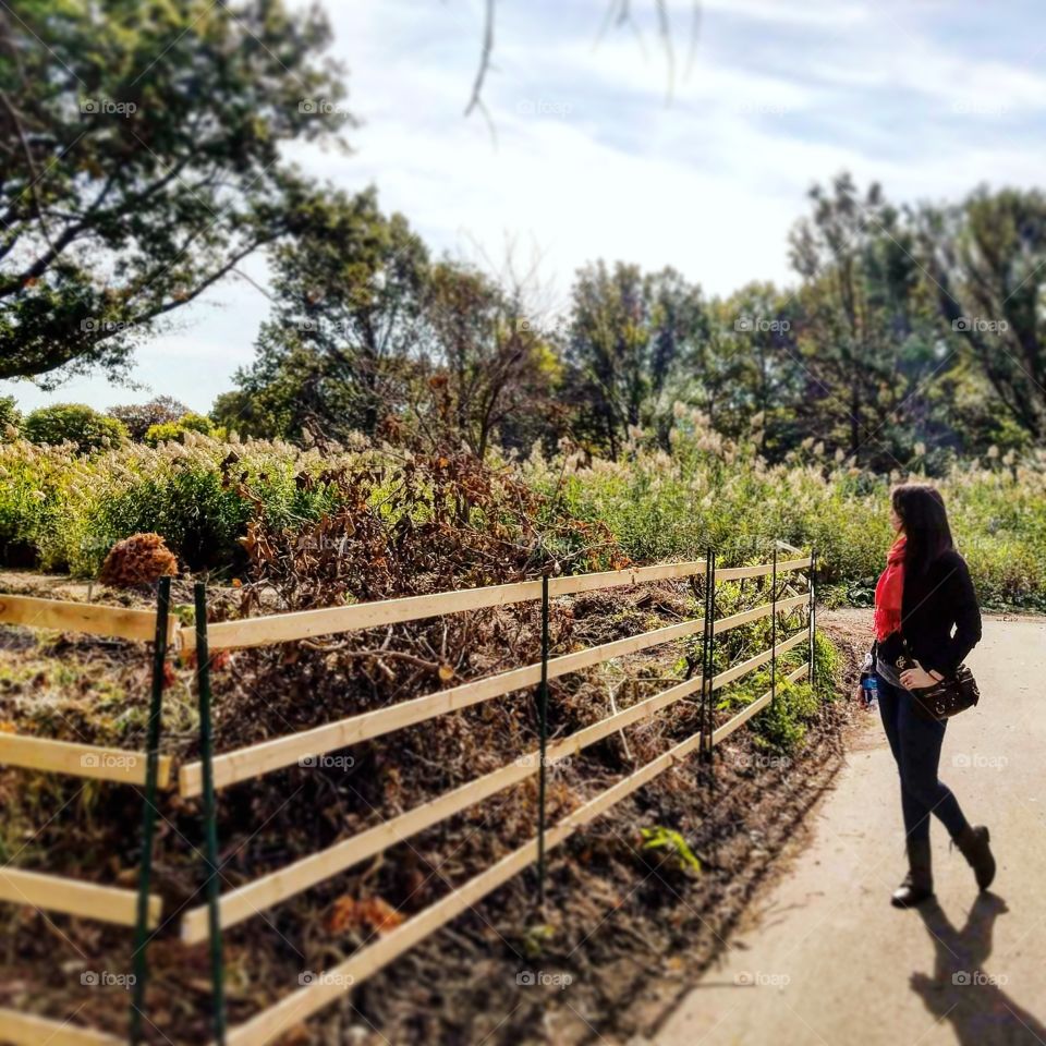 Outdoors, Landscape, Fence, Tree, No Person