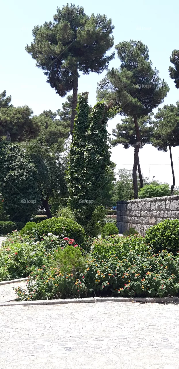 park