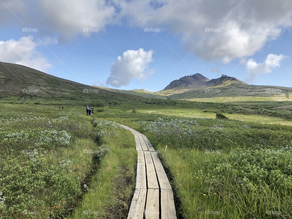 The Travel Infinite : Iceland