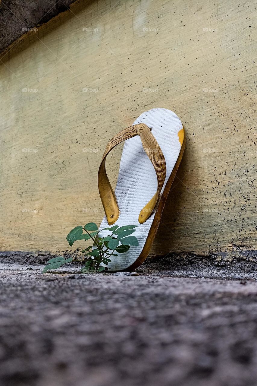 White flip-flops with yellow straps lying near a pale yellow wall. A small plant grows nearby, creating a natural contrast. This photo depicts a lonely atmosphere