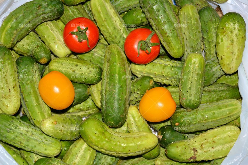 cucumbers and tomatoes art homemade