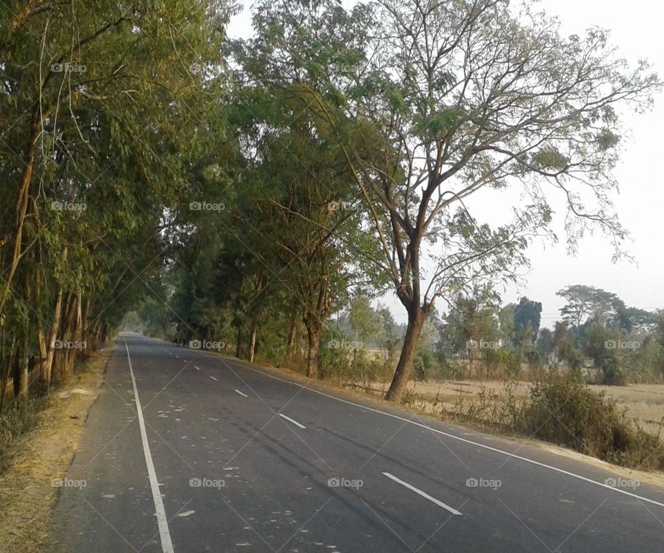 Beautiful path or a road ready for everyone