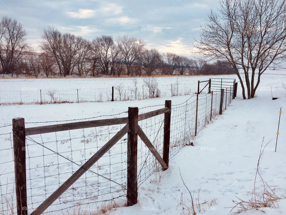Angled view of a barbed-wire and wire fence around a cattle pasture in winter