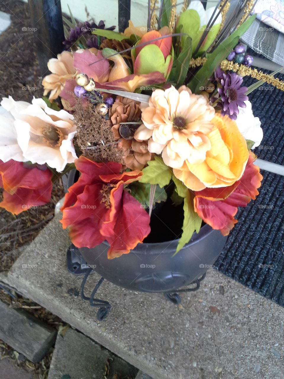 Colorful Plants. color plants on your front porch