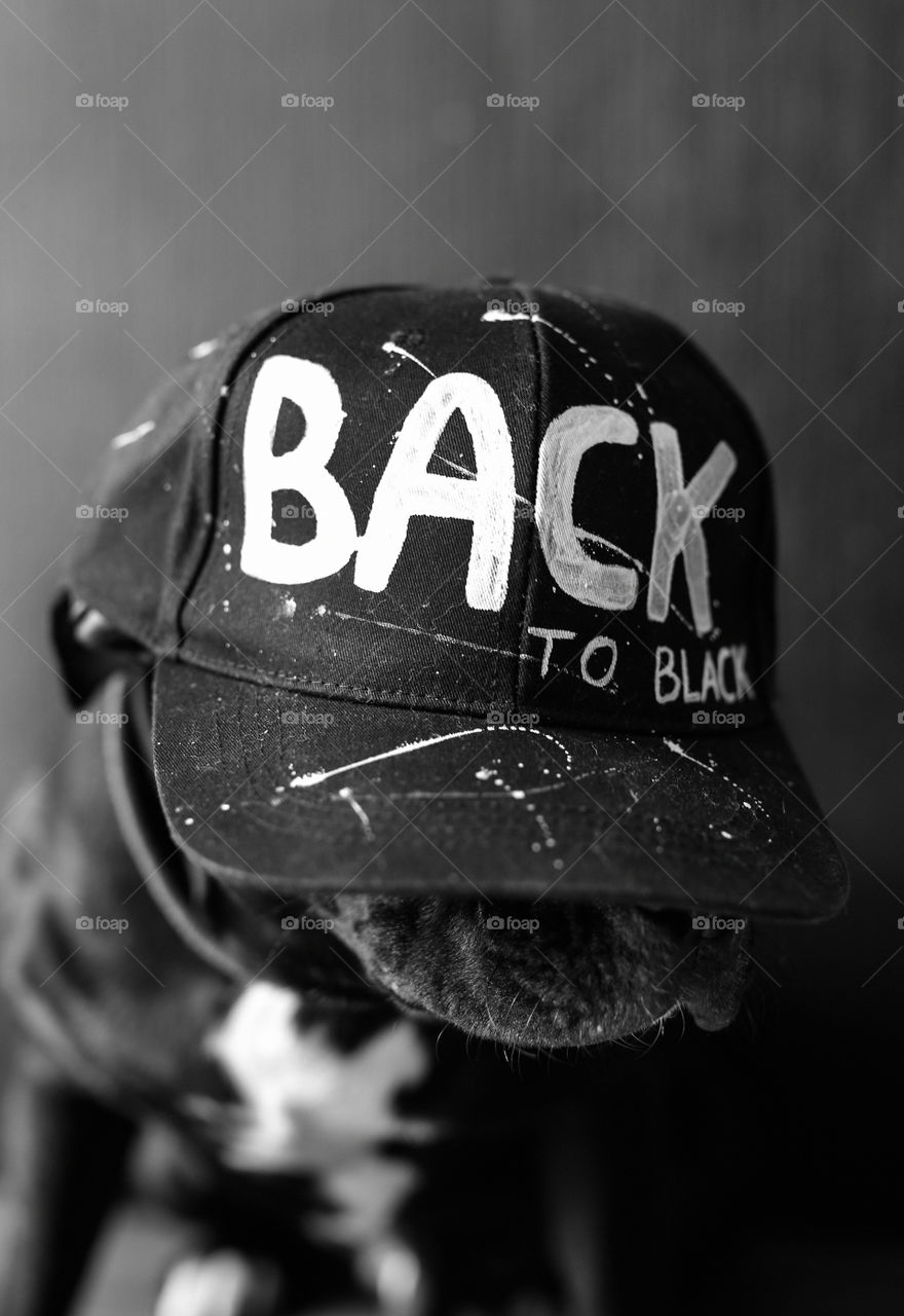 Back to black. Funny hat and cute pet