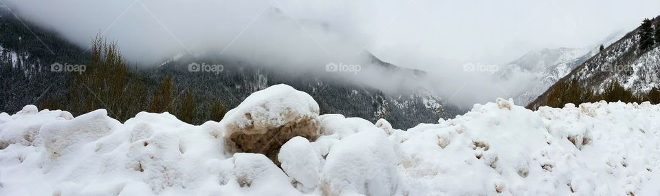 Uinta National Forest