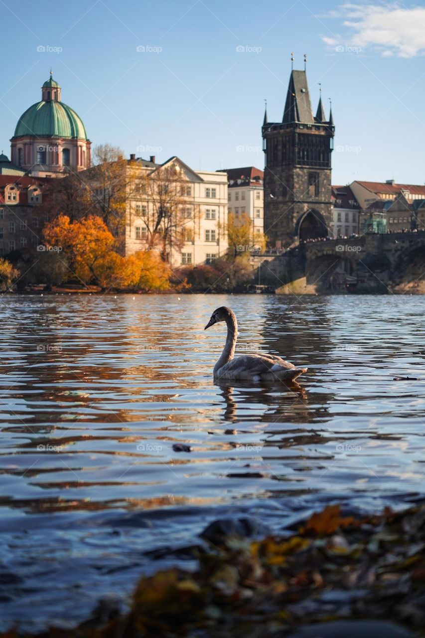 Autumn Prague