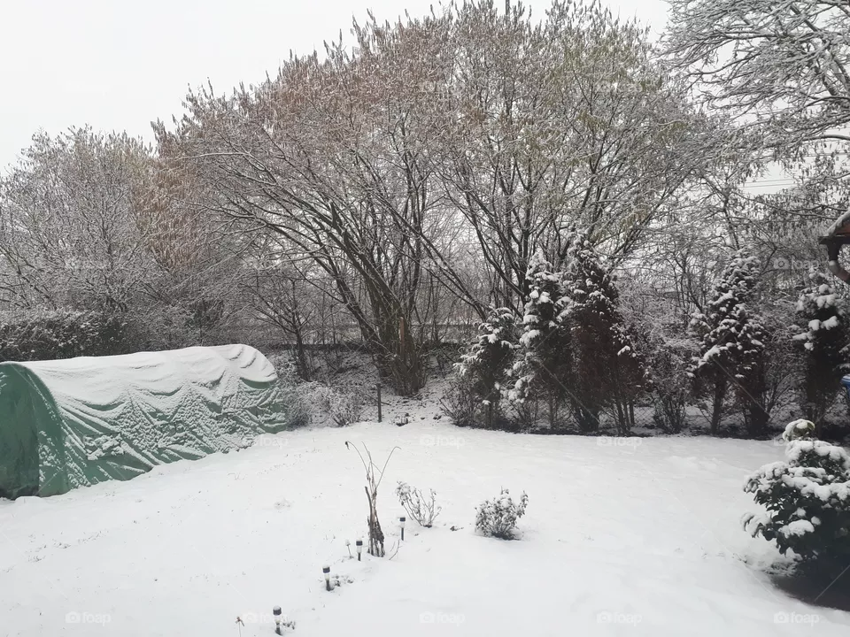 snow