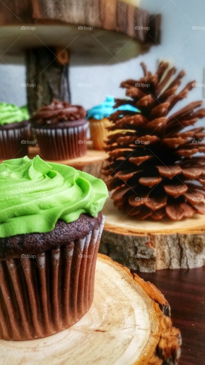 Alpine cupcakes. a cupcake spread for a bridal shower